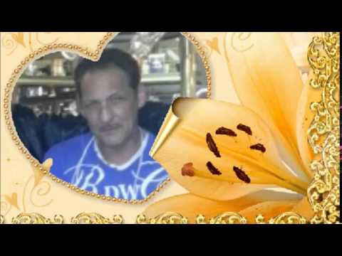 Melody of Love Seimen Mettbach Traumkönigin