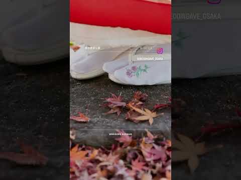 agrandissement-maison-bois-brûlé-noir-façade-brique