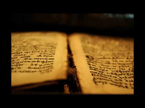 lilman lentz X tigz - the script