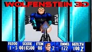 Wolfenstein 3D playing on the 3DO