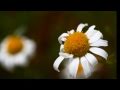 Рожаниця - Весна красна Rozhanycya - Beautiful Spring 