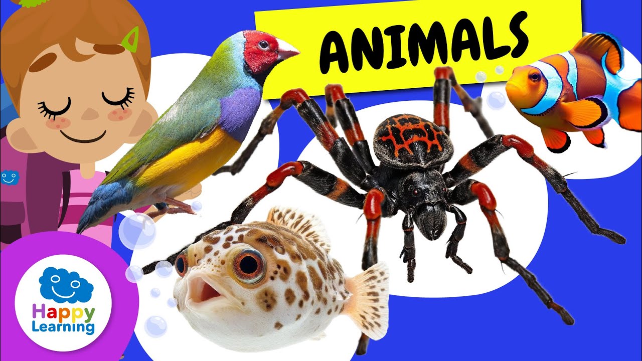 🔴 LIVE | 🕷️ Amazing Animals: Spiders, Sharks, Birds & More Fun Facts! | Happy Learning