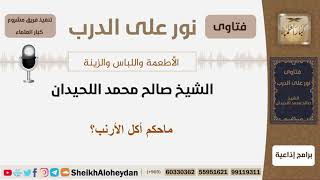 صورة ماحكم أكل الأرنب؟ الشيخ اللحيدان - مشروع كبار العلماء