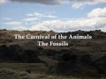 The Carnival of the Animals - The Fossils