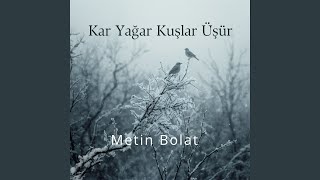 Miniatura - Kar Yağar Kuşlar Üşür