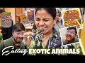 Tasting The World S Most UNBELIEVABLE Street Food Unbelievable Exotic Dishes