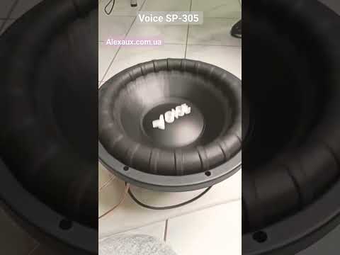 Сабвуфер Voice SP-305 D2 12" - фото 1 - id-p2115396977
