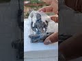 Lord Shiva Statue Bought From Amazon