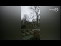 Storm Dennis: vooral omgewaaide bomen
