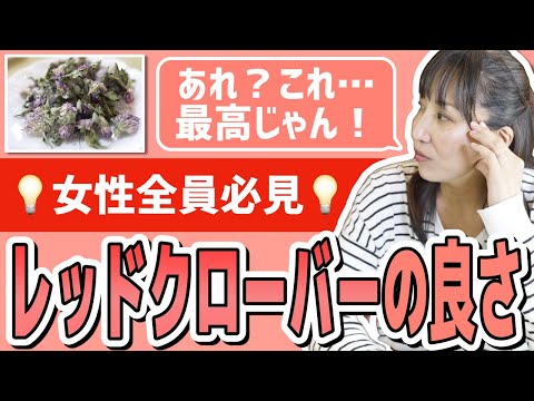 トリフォリウム・ステラタム