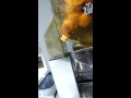 Orange Juice Machine