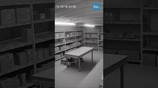 German Shepherd Pulls Owner to Safety During a Sudden Stockroom Collapse