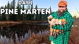 THE TRAPLINE: 1st Pine Marten Trapping Check: Ep12