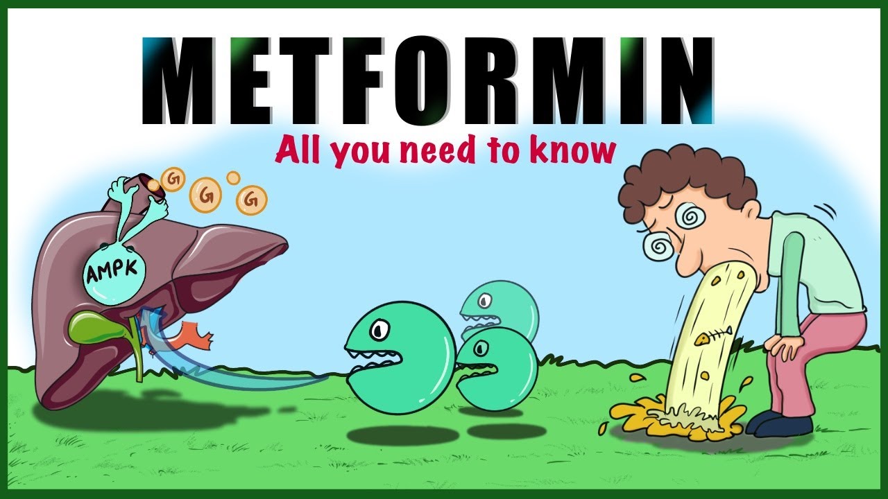 Metformin: Uses, Mechanism of action, Side  effects, Contraindications