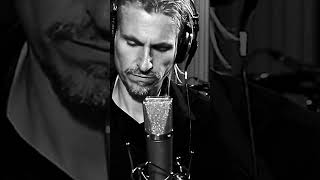 The Sun - Nic Stilborg