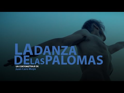 Tráiler de La danza de las palomas