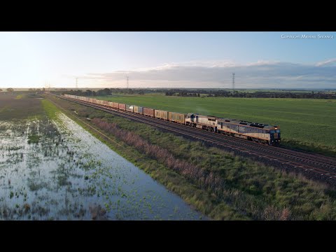 9174 QUBE Ultima Broad Gauge Container Train (16/10/2022) - PoathTV Australian Railways