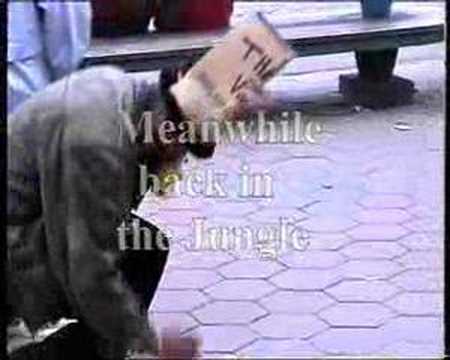 AGENESS: Marigold Live'99