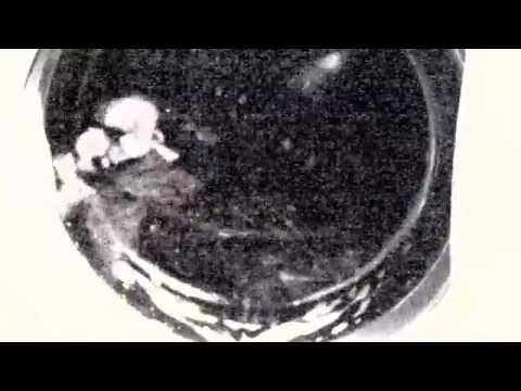 Prosto z Chile - Koncert Meskal od kuchni