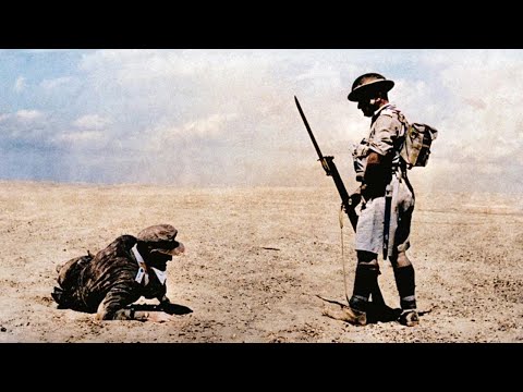 La Guerre du Désert : Images Rares en Couleur d’Afrique du Nord (1941–43)