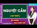 Nguyệt cầm Ngữ văn 11 Chân trời sáng tạo