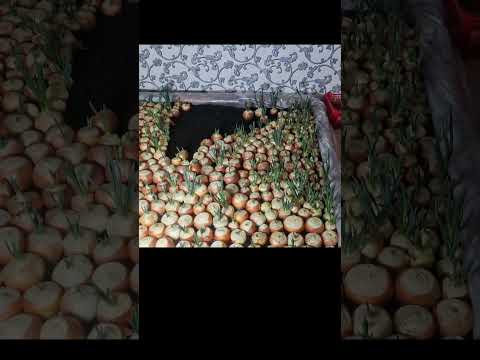 Тип работает и плачет. Автор видео: @dima.lomo Смешные комментарии.  #юмор #комментарии #мемас