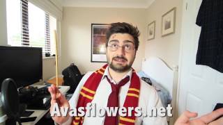 Avas Flowers was 'Magical' for Harry Potter
