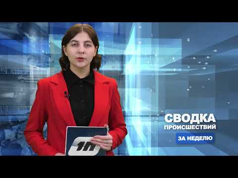 Сводка происшествий / 25.12.2023