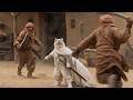 The Most Hilarious AI Cat Fight Compilation