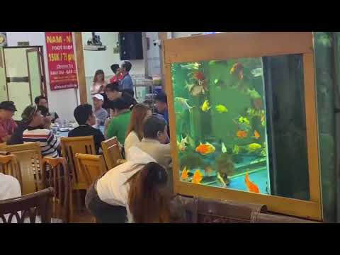 Tiệc Của Khách Tại Việt Phố