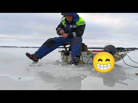 Temppa pilkkii 2023|Perämeri|Ahvenpilkillä