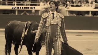 DAVID SYLVIAN - Before The Bullfight (with lyrics)
