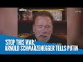 ‘Stop this war,' Arnold Schwarzenegger tells Putin