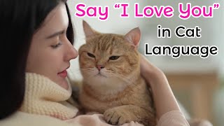Download lagu Say “I Love You” in Cat Language 😽 10 Meaningful Ways mp3 Download lagu Say “I Love You” in Cat Language 😽 10 Meaningful Ways mp3