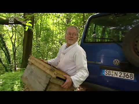 Der Westwall - Ein unbequemes Denkmal Doku (2013)