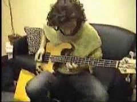 Tool - Justin Chancellor Demonstrating Schism