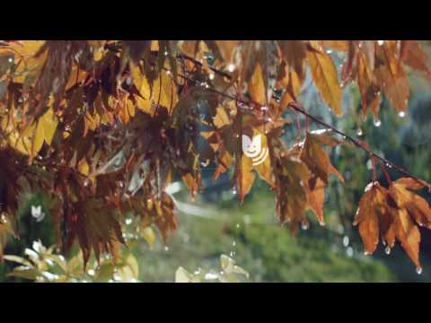 GARDENA smart system