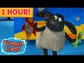 1 HOUR Of The BEST Of Timmy Time Preschool