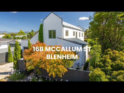 16B McCallum Street, Springlands, Blenheim, Marlborough, 3房, 2浴, House
