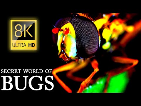 SECRET WORLD OF BUGS 8K ULTRA HD
