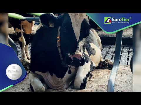 EuroTier Innovation Award 2022 -  Silbermedaille - The Dreamstall, Cowhouse International B.V.