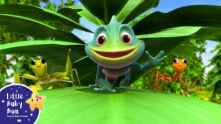 Multi Language Songs - Little Baby Bum