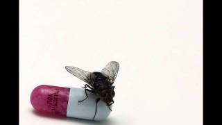 Red Hot Chili Peppers - Dance, Dance, Dance