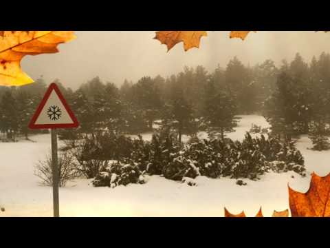 Quik 2016 11 26 21 30 00