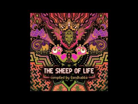 Chakraview - Full Time Bakra