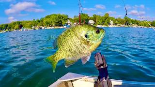Fishing with BIG BLUEGILLS as BAIT for BIG FISH!