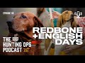UKC Hunting Ops Podcast Ep. 55 - Coonhounds: Redbone and English Days