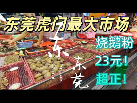 廣東大灣區美食旅遊攻略！東莞虎門最大市集！海鮮超多！當地有名美食餐廳！早餐燒鵝粉！23元一碗！超美味！臘味特產！廣深沿江高速公路街景街拍！ Dongguan's largest market tour