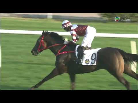 2021/22 (344) - Sight Spirit (醉眼光) - 莫雷拉 (升班增程磅輕輕鬆再贏)