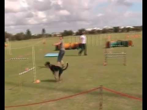 SRA Apr2012 JDO2.wmv